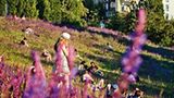 FOTOGALERIE: Sommer in Berlin - Bild 6
