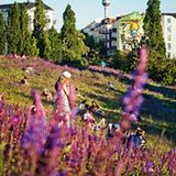 FOTOGALERIE: Sommer in Berlin - Bild 6