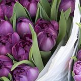 Fotogalerie: Fettnäpfchen auf Reisen - Bild 2