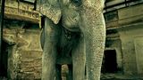 Fotogalerie: Fotogalerie: Indien - Bild 5