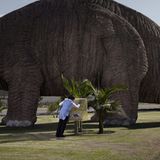 Freizeitparks: Fotogalerie: Dream City