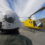 Rattenausrottung: Aktion Tod + Leben