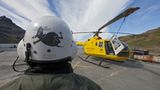 Rattenausrottung: Aktion Tod + Leben