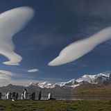 Rattenausrottung: Aktion Tod + Leben - Bild 3