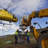 Rattenausrottung: Aktion Tod + Leben - Bild 7