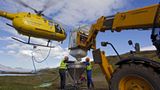 Rattenausrottung: Aktion Tod + Leben - Bild 7
