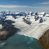 Rattenausrottung: Aktion Tod + Leben - Bild 10