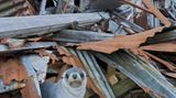 Rattenausrottung: Aktion Tod + Leben - Bild 11