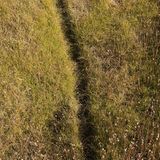 Rattenausrottung: Aktion Tod + Leben - Bild 12