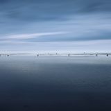 Nationalpark Niedersächsisches Wattenmeer