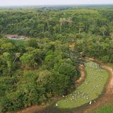 Artenschutz: Wo darf der Jaguar leben? - Bild 2