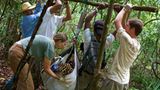 Artenschutz: Wo darf der Jaguar leben? - Bild 12