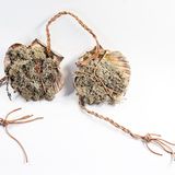 Wettbewerb: Wir zeigen Modernes aus der Steinzeit - Bild 9