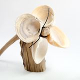 Wettbewerb: Wir zeigen Modernes aus der Steinzeit - Bild 11