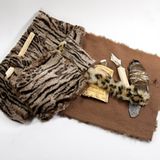 Wettbewerb: Wir zeigen Modernes aus der Steinzeit - Bild 29