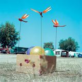 Fotogalerie: Fotogalerie: Life in Blue - Bild 6