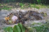Foto-Wettbewerb: Bilder zum Entdecken!