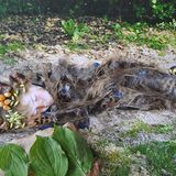 Foto-Wettbewerb: Bilder zum Entdecken!