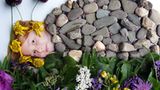 Foto-Wettbewerb: Bilder zum Entdecken! - Bild 2
