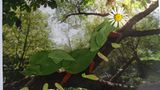 Foto-Wettbewerb: Bilder zum Entdecken! - Bild 4