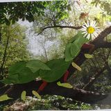 Foto-Wettbewerb: Bilder zum Entdecken! - Bild 4