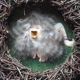 Foto-Wettbewerb: Bilder zum Entdecken! - Bild 7