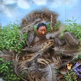 Foto-Wettbewerb: Bilder zum Entdecken! - Bild 9