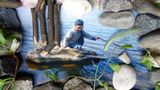Foto-Wettbewerb: Bilder zum Entdecken! - Bild 17