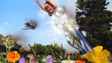 Foto-Wettbewerb: Bilder zum Entdecken! - Bild 18