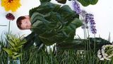 Foto-Wettbewerb: Bilder zum Entdecken! - Bild 21