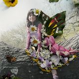 Foto-Wettbewerb: Bilder zum Entdecken! - Bild 22