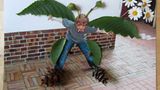 Foto-Wettbewerb: Bilder zum Entdecken! - Bild 24