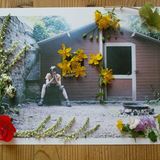 Foto-Wettbewerb: Bilder zum Entdecken! - Bild 25