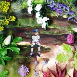 Foto-Wettbewerb: Bilder zum Entdecken! - Bild 26