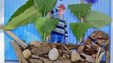 Foto-Wettbewerb: Bilder zum Entdecken! - Bild 27
