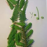 Foto-Wettbewerb: Bilder zum Entdecken! - Bild 28