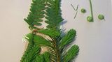 Foto-Wettbewerb: Bilder zum Entdecken! - Bild 28