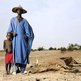 Fotogalerie: Fotogalerie: Schicksale des Klimawandels