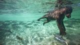 Fotogalerie: Die besten Naturfotografien 2011 - Bild 3