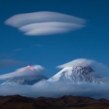 Fotogalerie: Die besten Naturfotografien 2011 - Bild 6