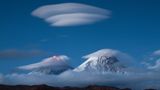 Fotogalerie: Die besten Naturfotografien 2011 - Bild 6
