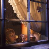 Fotogalerie: Die besten Naturfotografien 2011 - Bild 7