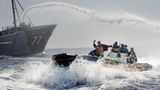 Sea Shepherd