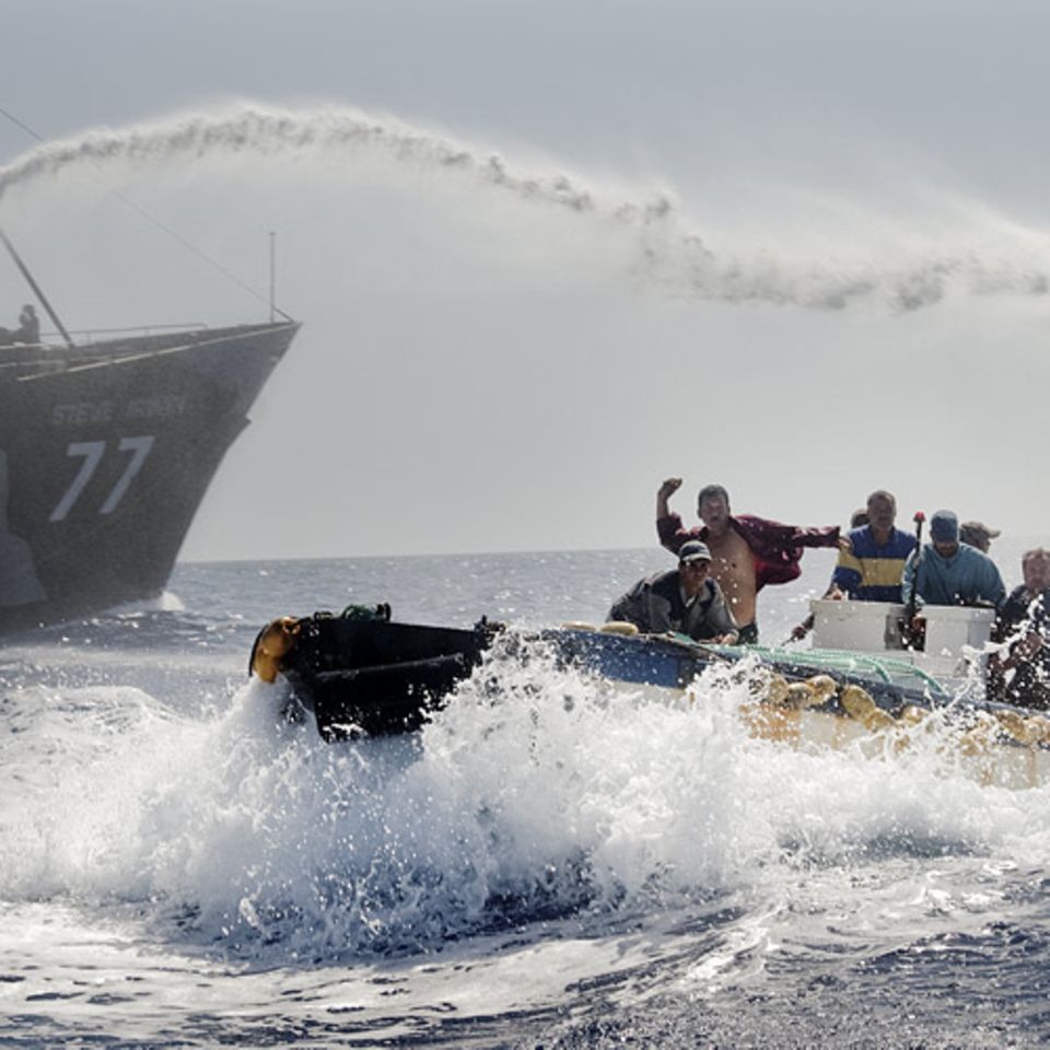 Sea Shepherd