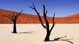 Dead Vlei