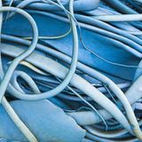 Naturfotograf des Jahres