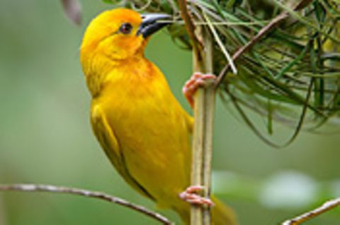 Leserfoto des Tages - Dezember 2011