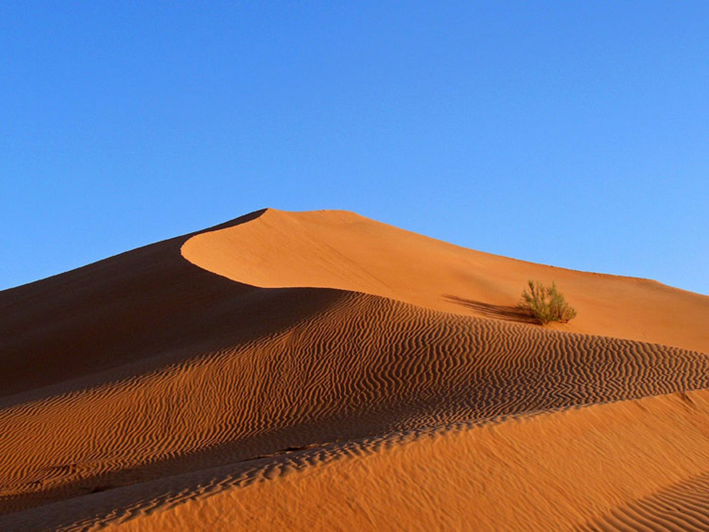Rub al-Khali-Wüste