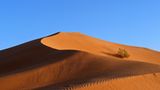 Rub al-Khali-Wüste