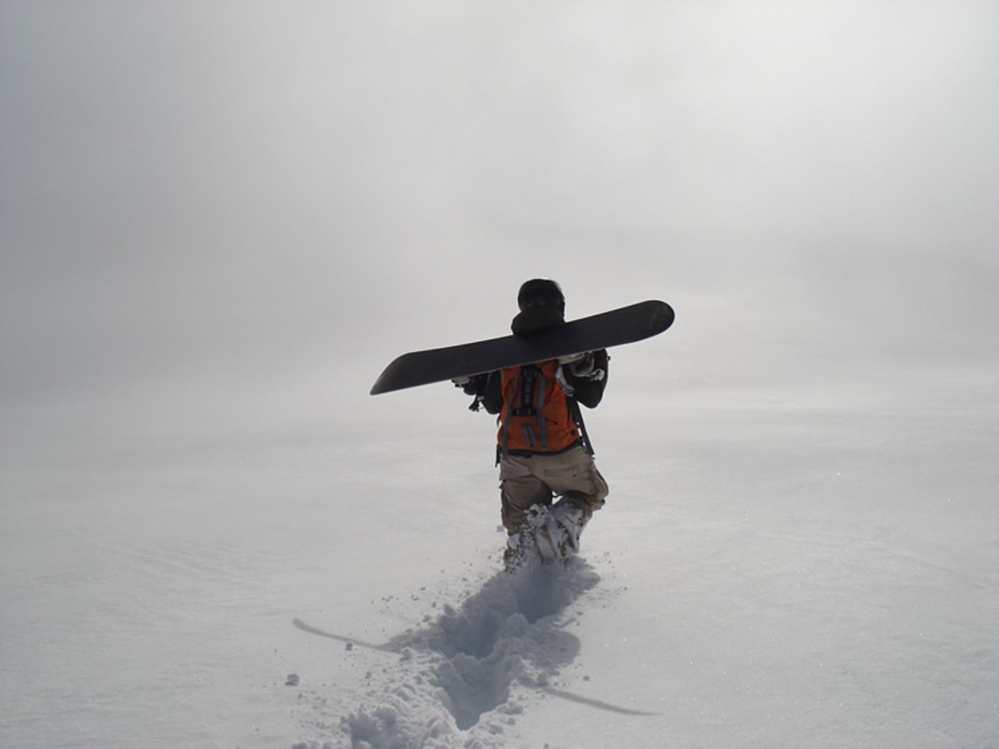 Freeriding